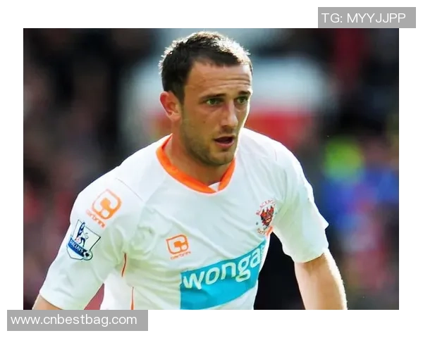 威尔斯足球明星是谁 图片揭晓威尔斯足坛顶级球员的风采与成就